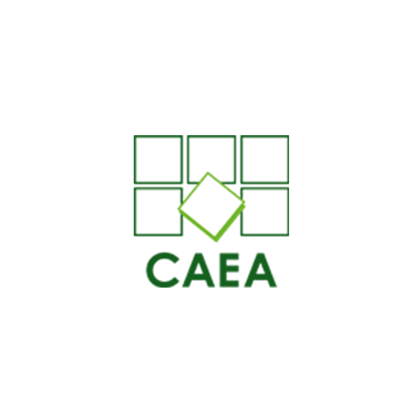 Logo de Caea